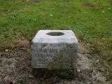 image of grave number 198904